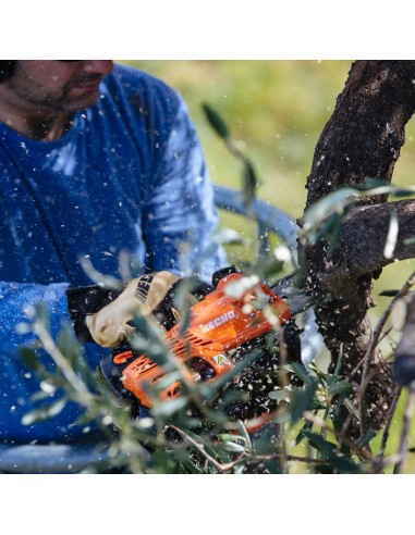 Motosierra CS2511TES/25