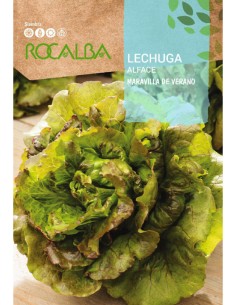 LECHUGA