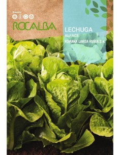 LECHUGA