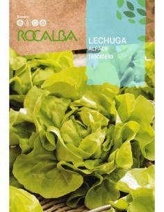 LECHUGA