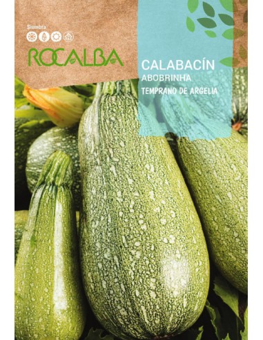 CALABACIN