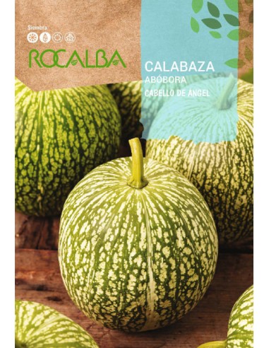 CALABAZA