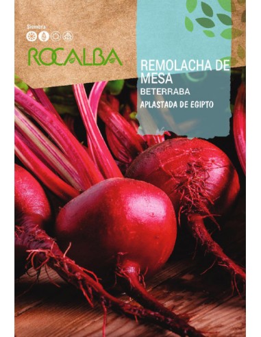 REMOLACHA