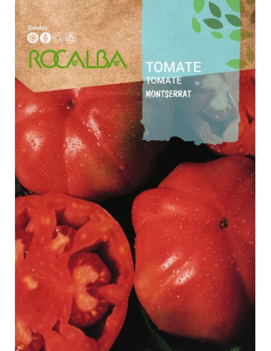 TOMATE