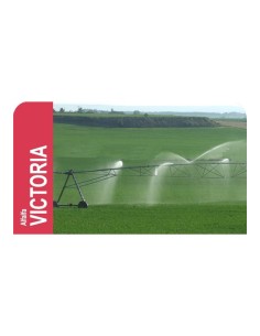 ALFALFA VICTORIA