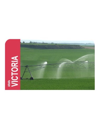 ALFALFA VICTORIA