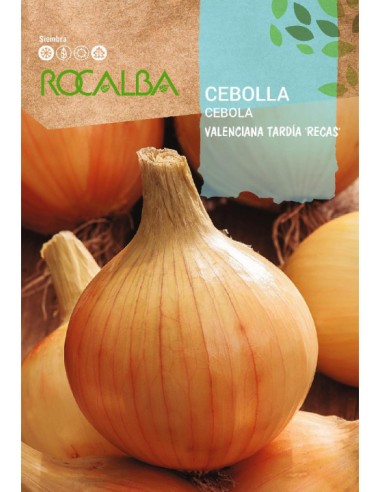 CEBOLLA
