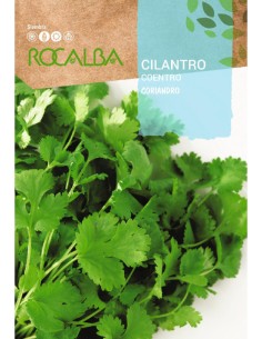 CILANTRO
