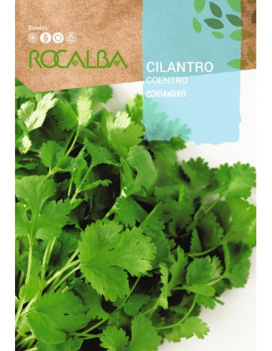 CILANTRO