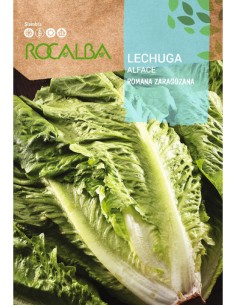 LECHUGA