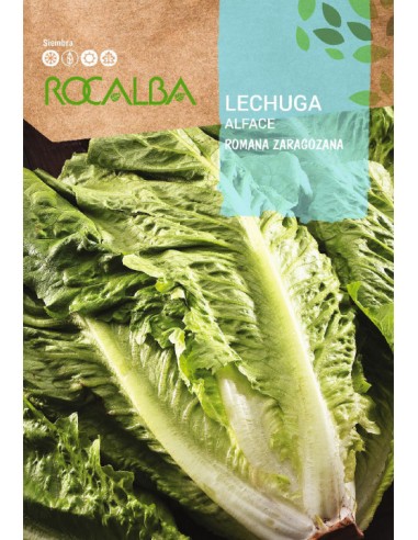 LECHUGA