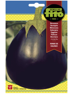 BERENJENA