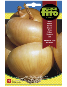 CEBOLLA