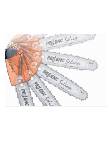 MOTOSIERRA SELION TELESCOPICA T220/300