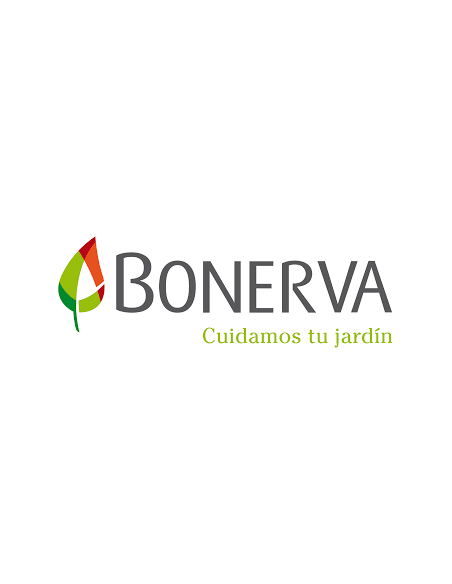 BONERVA