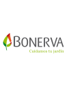 BONERVA